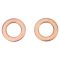 Rear Performance Rotor, Pad, Caliper & Hose Kit
