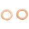 Rear Performance Rotor, Pad, Caliper & Hose Kit