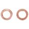 Rear Performance Rotor, Pad, Caliper & Hose Kit