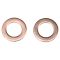 Rear Performance Rotor, Pad, Caliper & Hose Kit