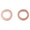 Rear Performance Rotor, Pad, Caliper & Hose Kit