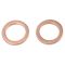 Rear Performance Rotor, Pad, Caliper & Hose Kit