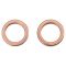 Rear Performance Rotor, Pad, Caliper & Hose Kit