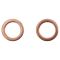 Rear Performance Rotor, Pad, Caliper & Hose Kit