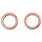 Rear Performance Rotor, Pad, Caliper & Hose Kit