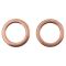 Rear Performance Rotor, Pad, Caliper & Hose Kit