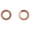 Rear Performance Rotor, Pad, Caliper & Hose Kit