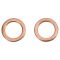 Rear Performance Rotor, Pad, Caliper & Hose Kit