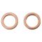 Rear Performance Rotor, Pad, Caliper & Hose Kit