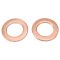 Rear Performance Rotor, Pad, Caliper & Hose Kit