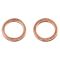 Rear Rotor, Pad Calliper & Hose Kit