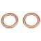 Rear Rotor, Pad Calliper & Hose Kit