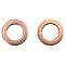 Rear Rotor, Pad Calliper & Hose Kit