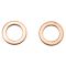 Rear Brake Pad, Rotor & Caliper Kit
