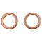 Front Brake Pad, Rotor, Caliper & Hose Kit