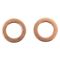 Front Brake Pad, Rotor, Caliper & Hose Kit