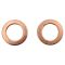 Front Brake Pad, Rotor, Caliper & Hose Kit