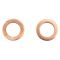 Front Brake Pad, Rotor, Caliper & Hose Kit