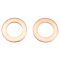 Front Brake Pad, Rotor, Caliper & Hose Kit
