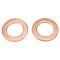 Front Brake Pad, Rotor, Caliper & Hose Kit