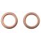 Front Brake Pad, Rotor, Caliper & Hose Kit