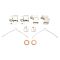 Front Brake Pad, Rotor, Caliper & Hose Kit