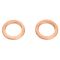 Front Brake Pad, Rotor, Caliper & Hose Kit