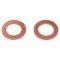 Front Brake Pad, Rotor, Caliper & Hose Kit