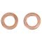 Front Brake Pad, Rotor, Caliper & Hose Kit