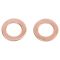 Front Brake Pad, Rotor, Caliper & Hose Kit