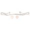 Front Brake Pad, Rotor, Caliper & Hose Kit