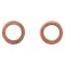 Front Brake Pad, Rotor, Caliper & Hose Kit
