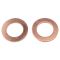Front Brake Pad, Rotor, Caliper & Hose Kit
