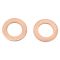 Front Brake Pad, Rotor, Caliper & Hose Kit