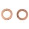 Front Brake Pad, Rotor, Caliper & Hose Kit