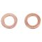 Front Brake Pad, Rotor, Caliper & Hose Kit