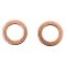 Front Brake Pad, Rotor, Caliper & Hose Kit