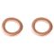 Front Brake Pad, Rotor, Caliper & Hose Kit