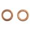 Front Brake Pad, Rotor, Caliper & Hose Kit