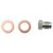 Rear Brake Pad, Rotor, Caliper & Hose Kit