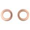 Rear Brake Pad, Rotor, Caliper & Hose Kit