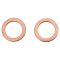 Rear Brake Pad, Rotor, Caliper & Hose Kit