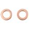 Rear Brake Pad, Rotor, Caliper & Hose Kit