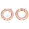 Rear Brake Pad, Rotor, Caliper & Hose Kit