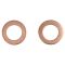 Rear Brake Pad, Rotor, Caliper & Hose Kit