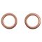 Rear Brake Pad, Rotor, Caliper & Hose Kit