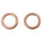 Rear Brake Pad, Rotor, Caliper & Hose Kit