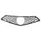 Grille Insert