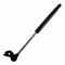 92-96 Toyota Camry, Lexus ES300 Lift Support LH