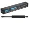 Liftgate Lift Support